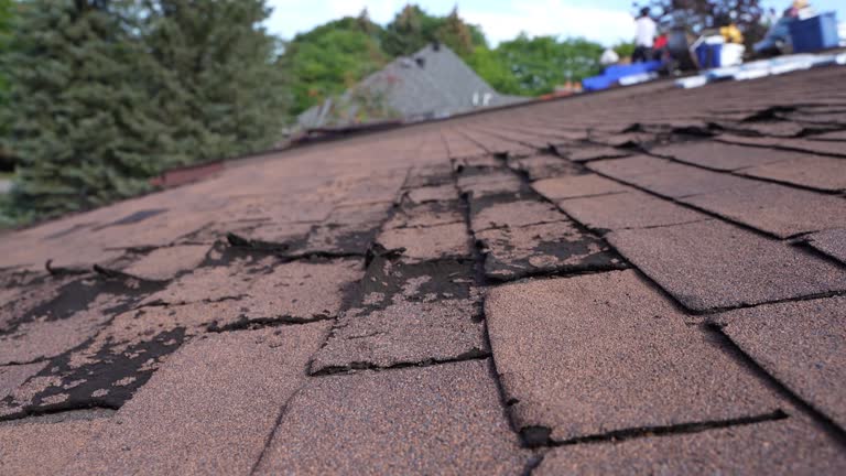 Best Roof Maintenance and Cleaning  in Fair Lakes, VA