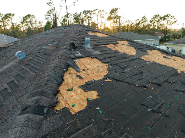 Best Asphalt Shingle Roofing  in Fair Lakes, VA